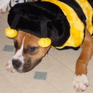 "Bee" Good Emma