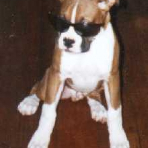 "Dempsey" as a little one