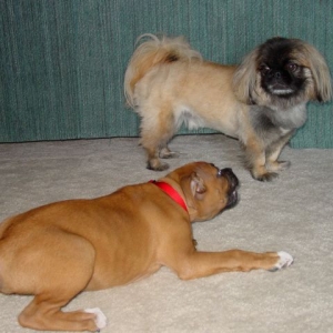 Are you talking to me?