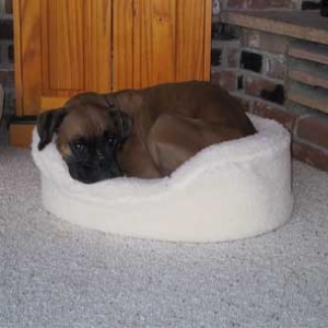 Nap Time