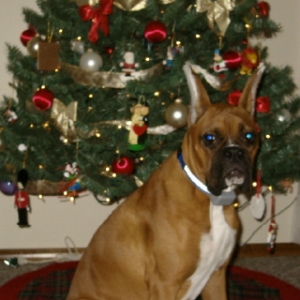 Santa, I'm being good!