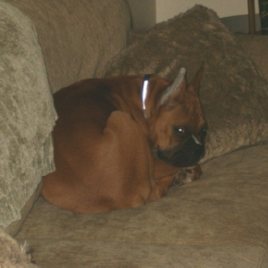 Busted!