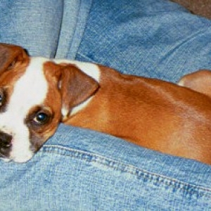 such a cutie