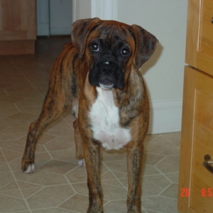 want a treat??????