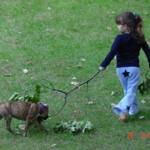 cleaning the yard