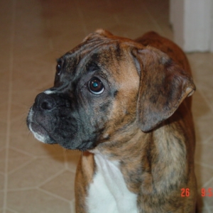 This is my good side!