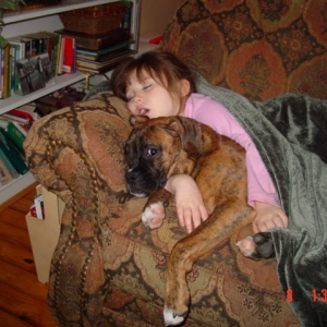 wow this dog can sleep