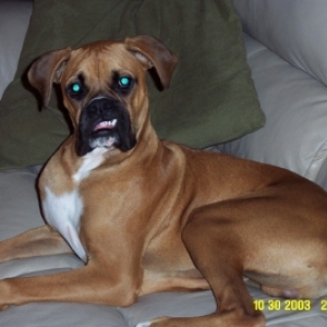 Do I have something in my teeth?