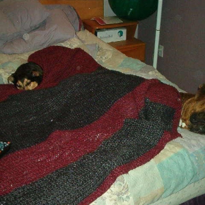 Sleepy Heads