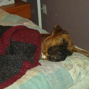 Snoozin