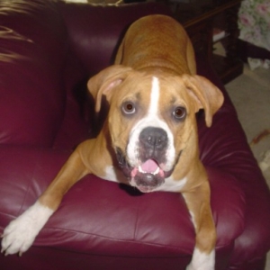 STAY OFF MY COUCH!