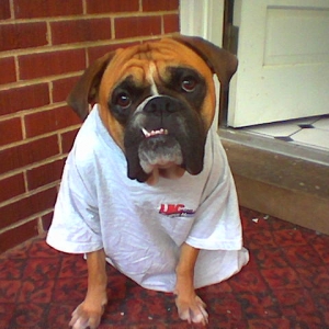 Cassius_Shirt