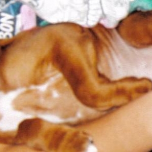 Bruiser only 9 weeks old
