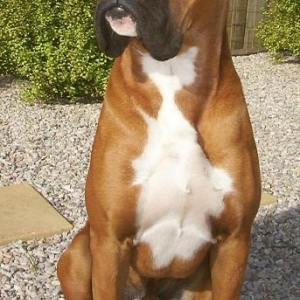 Posing....