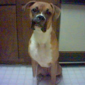 This is Jorja!