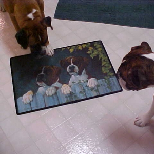 New Kitchen Mat