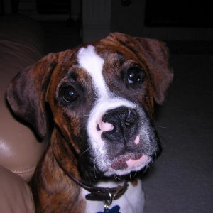It is so hard being soooooo cute!!!!