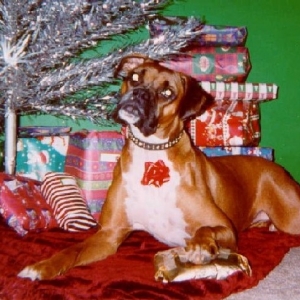 Christmas 2003