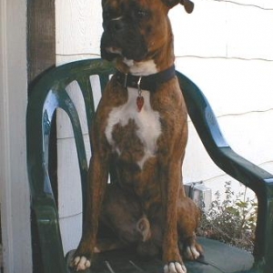Sherb sitting