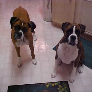 Our babies!