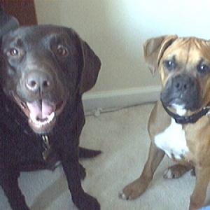 Rocky and Solomon