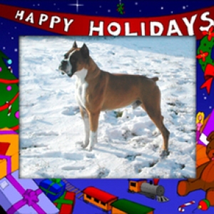 MERRY CHRISTMAS