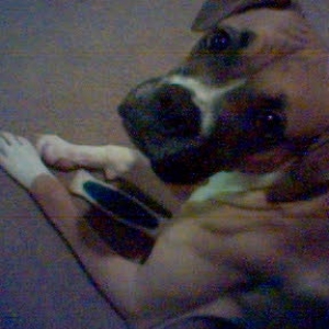Yummy bone.