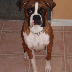 waiting for a treat!