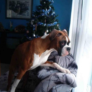 looking for that cat!