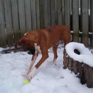 playin!