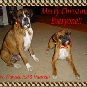 Merry Christmas