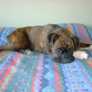 Just Loungin