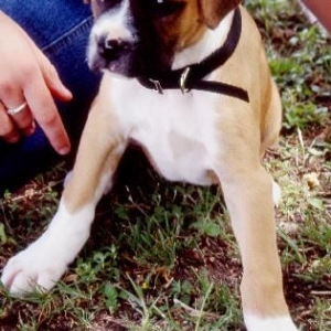 the first day we got Jorja