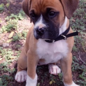 the first day we got Jorja