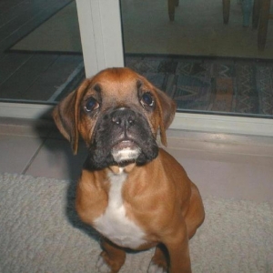 Baby Sunny