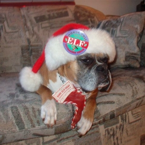 Xena - Christmas 2003