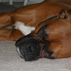 Naptime