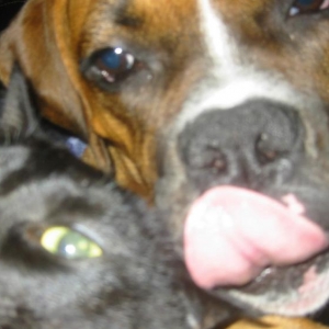 Layla Giving Her Sister A Kiss