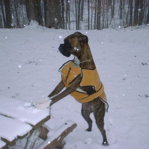 Cassius_posing