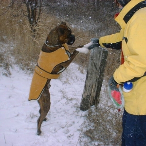 Cassius