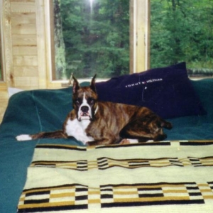 Jackson at the Cabin!