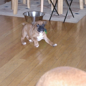 So little,  but so playful