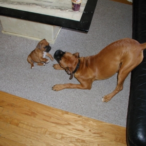 Max and Sumi