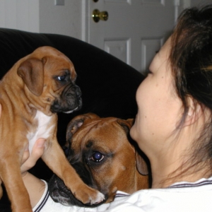 Welcome home Sumi!