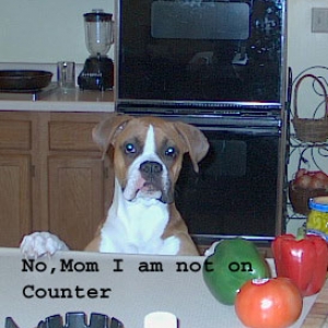 How innocent they can look