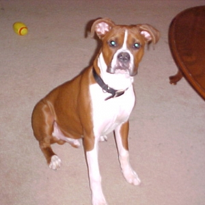 Reggie