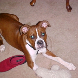 Reggie
