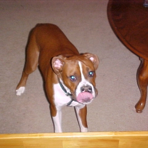 Reggie