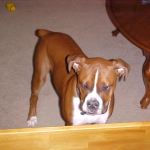 Reggie