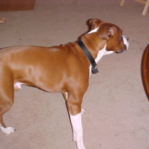 Reggie